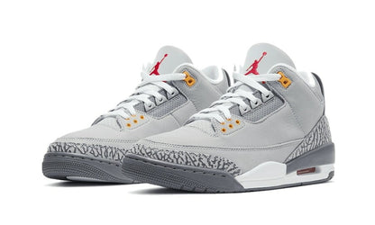 Jordan 3 Retro Cool Grey 2021 Sneakers - Collector's Edition