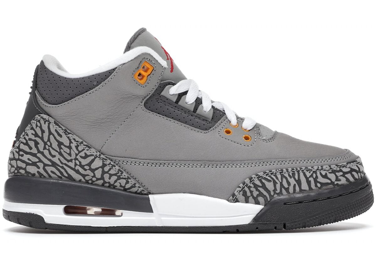 Jordan 3 Retro Cool Grey 2021 Sneakers - Collector's Edition