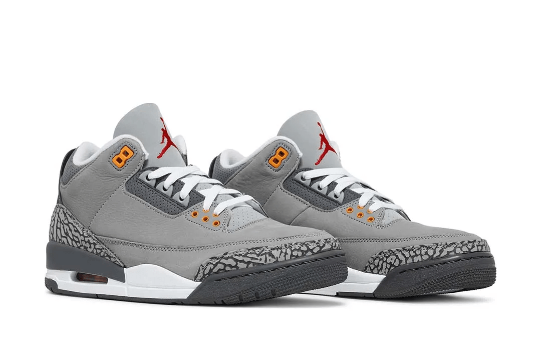 Jordan 3 Retro Cool Grey 2021 Sneakers - Collector's Edition